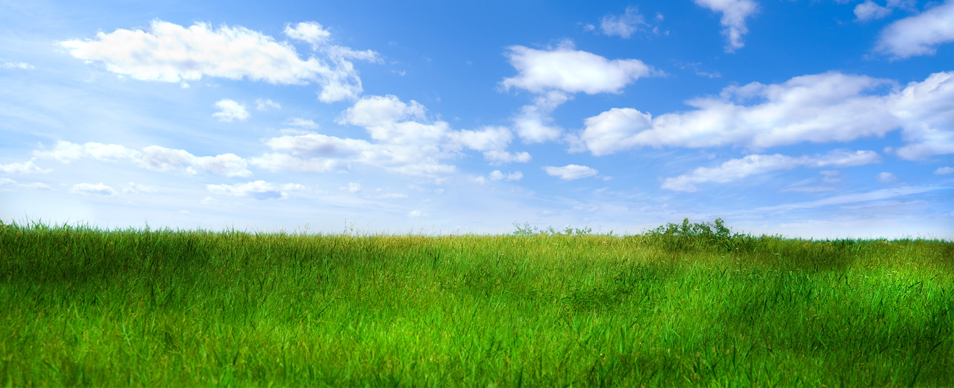 Banner - GroSa eGbR